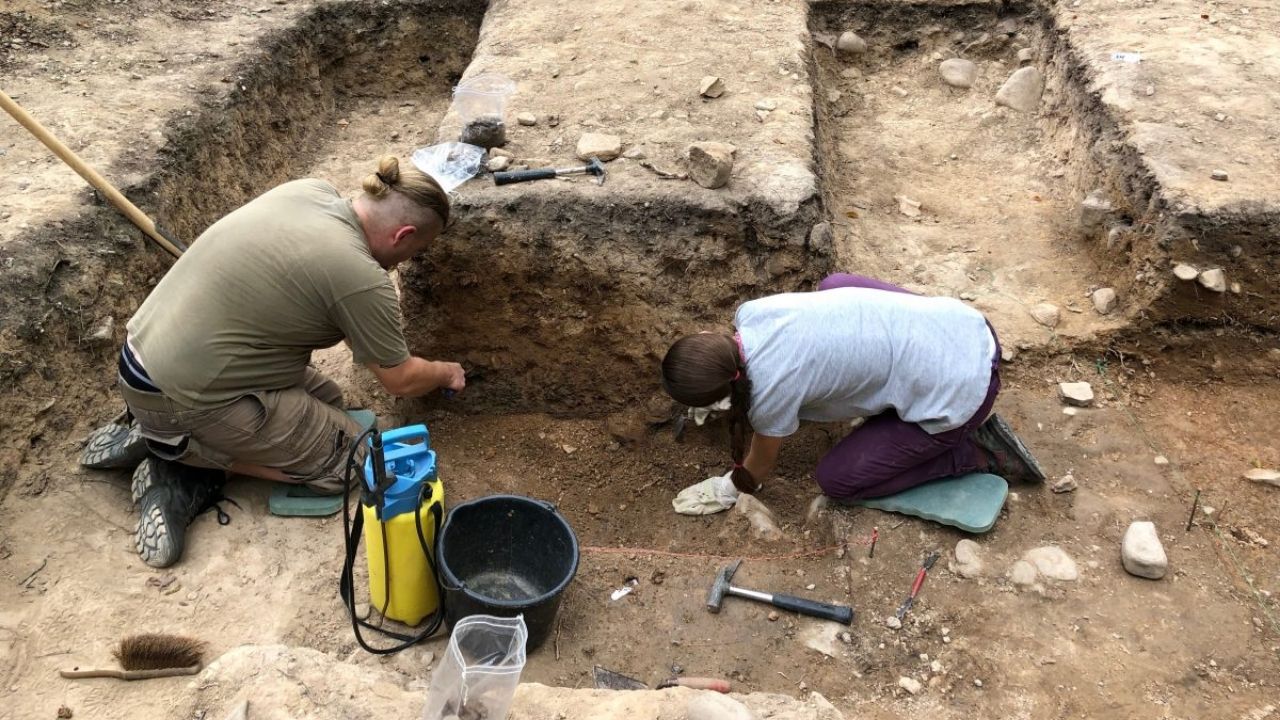 Câmara funerária de 6 mil anos revela organização de hierarquia social na Alemanha