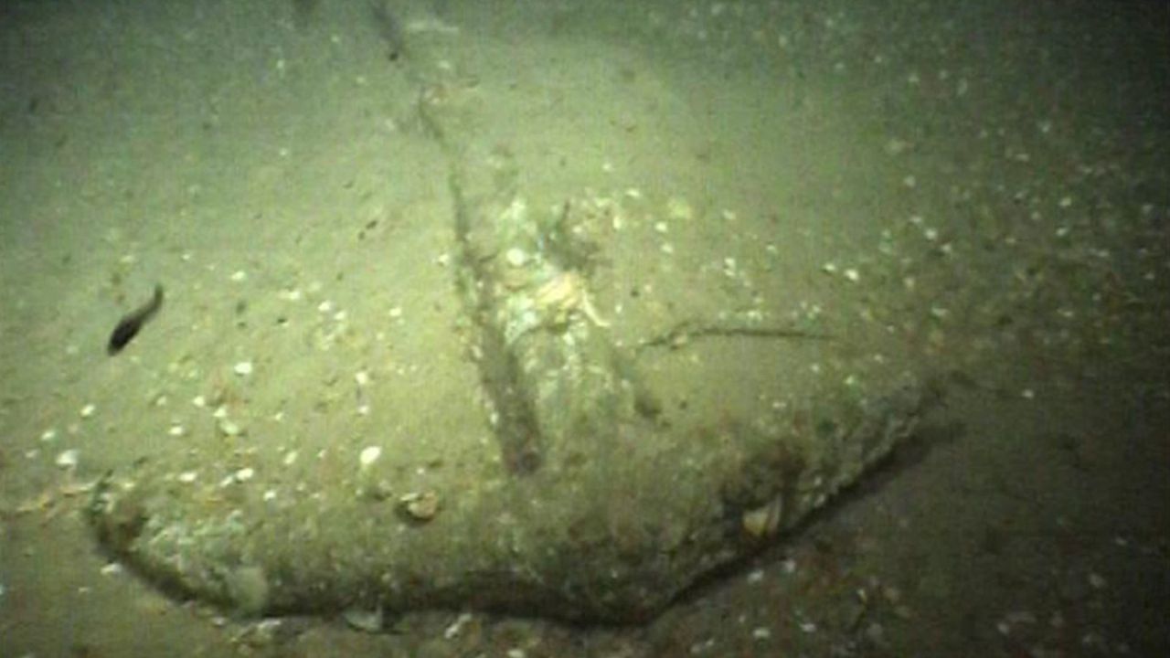 Âncora raríssima de 2 mil anos teria pertencido a navio romano, diz estudo