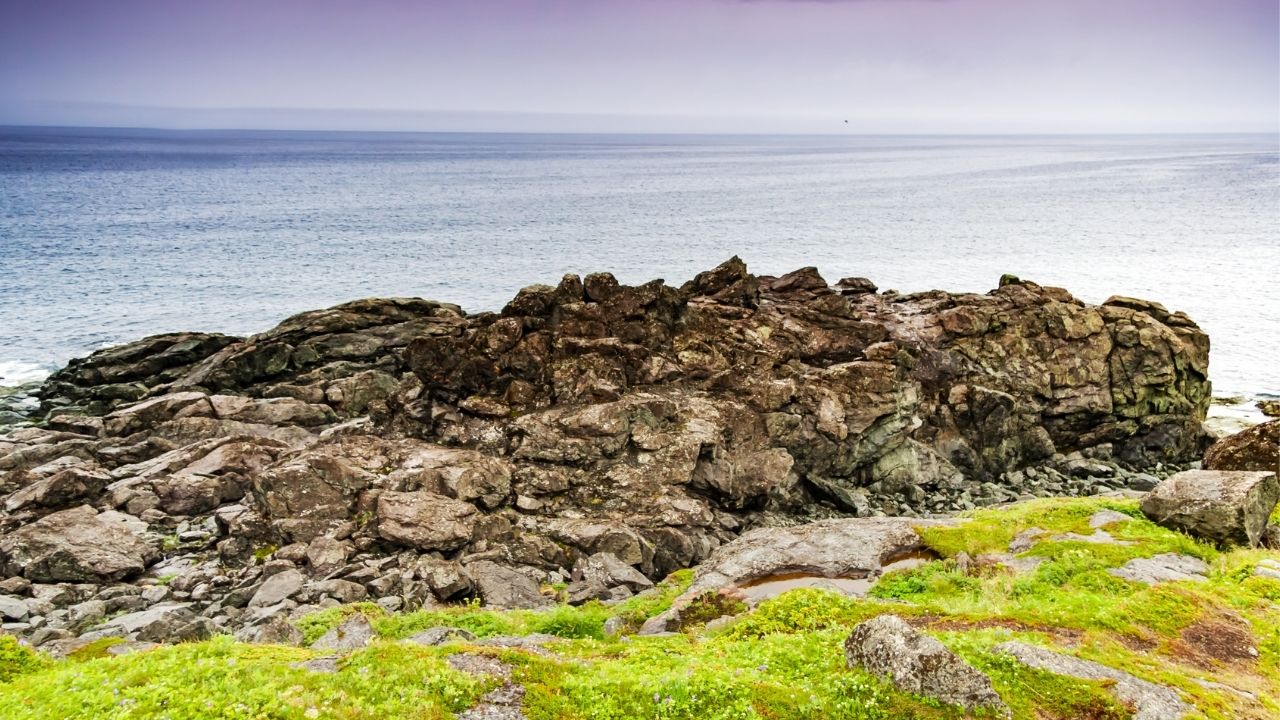 A madeira que revelou que os vikings estiveram na América do Norte bem antes de Colombo