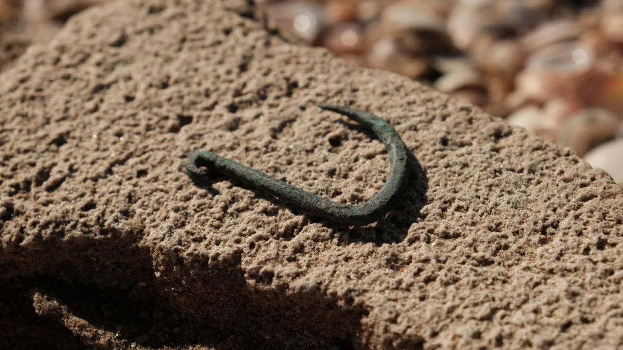Anzol de 6 mil anos usado para pescar tubarões é descoberto em Israel