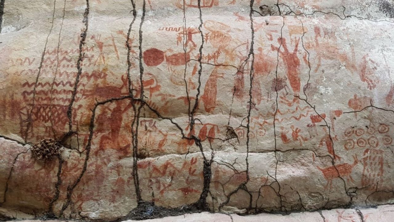 Veja imagens da arte rupestre encontrada em área remota da floresta amazônica