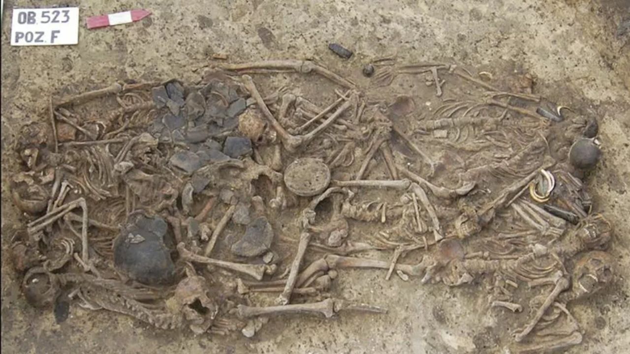Pesquisadores descobrem crânios esmagados de 5 mil anos na Polônia