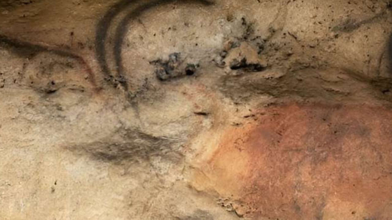 Arte rupestre recém-descoberta pode solucionar mistério arqueológico na França