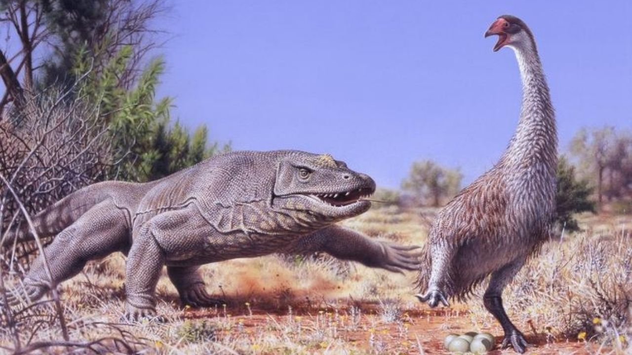 O que comiam os habitantes da Austrália há 50 mil anos?