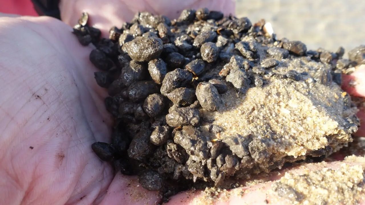 Arqueólogos descobrem possível fábrica de processamento de azeitonas com 6,6 mil anos, em Israel