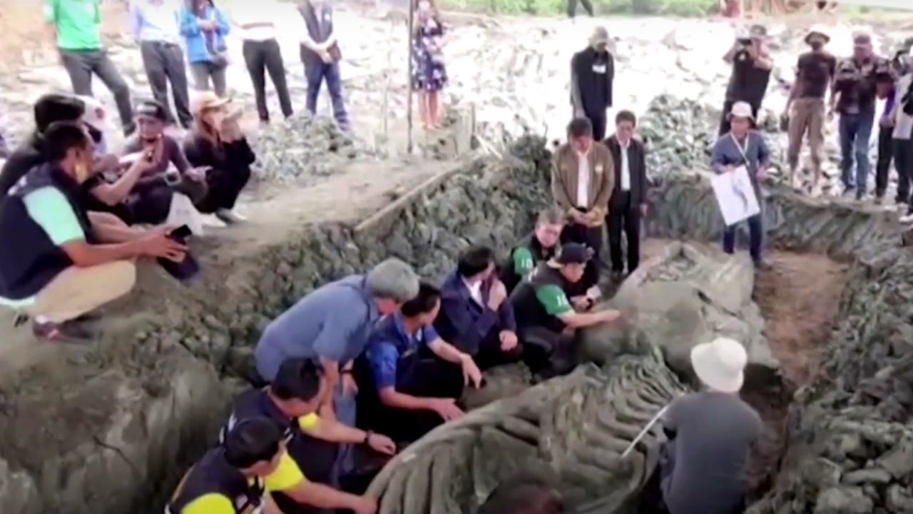 Ciclista descobre fóssil de baleia rara com 5 mil anos na Tailândia