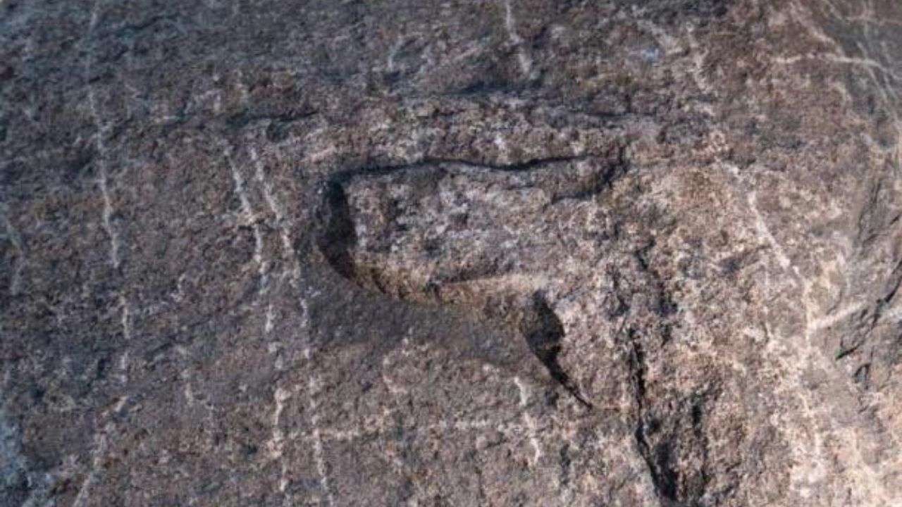 Artes rupestres raras de mil anos são encontradas no Canadá ‘com a ajuda de bisões’