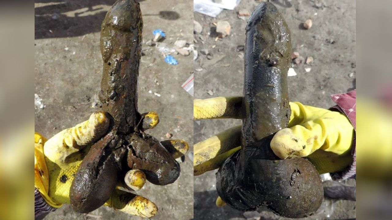 O curioso brinquedo sexual do século 18 encontrado em uma latrina polonesa