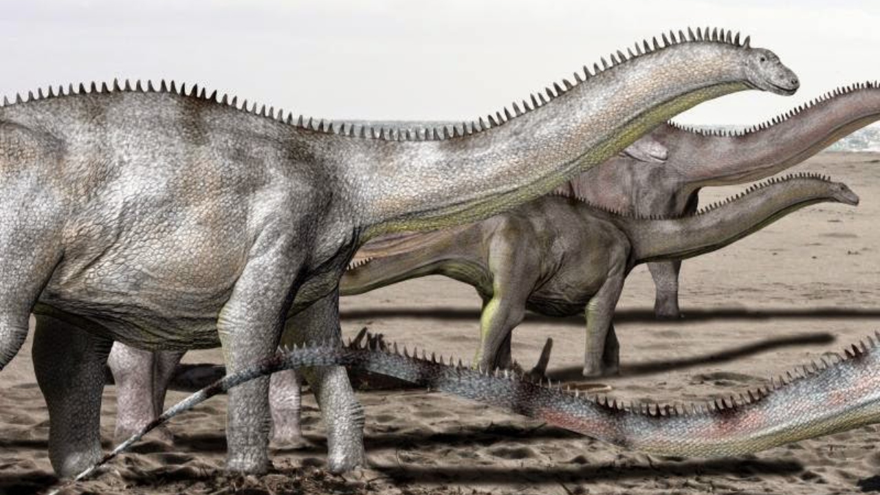 Estudos indicam que alguns dinossauros tinham almofadas nas patas; entenda