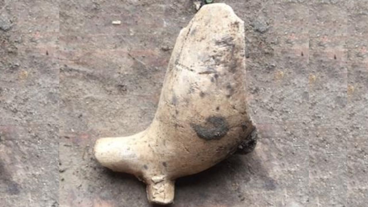 Criança encontra raro cachimbo de 240 anos ao investigar horta de escola