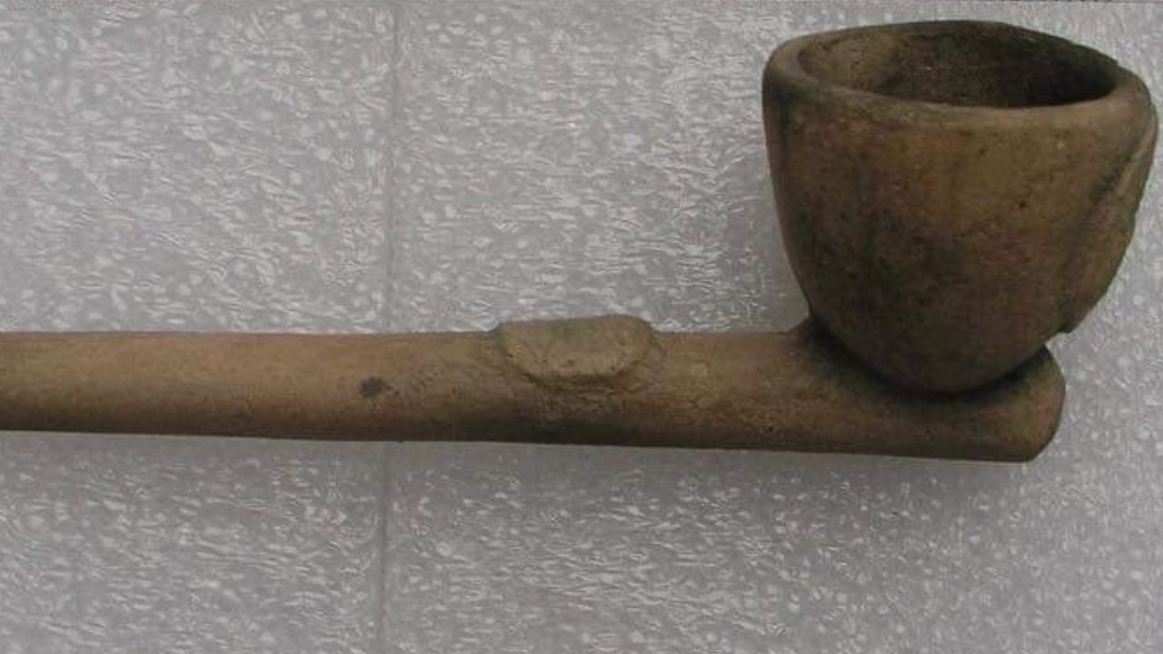 Cachimbo de 200 anos, apelidado de “Santo Graal da arqueologia”, é identificado na Tasmânia
