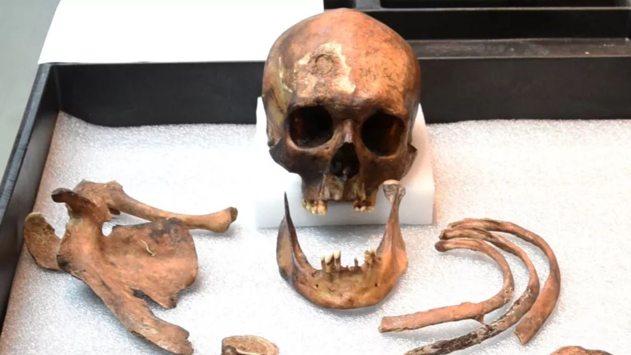Grande confusão: 5 curiosidades sobre o ‘vampiro’ de Connecticut