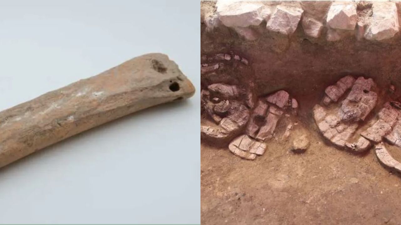 Na China, foram descobertos “patins” de ossos de boi e cavalo de 3,5 mil anos