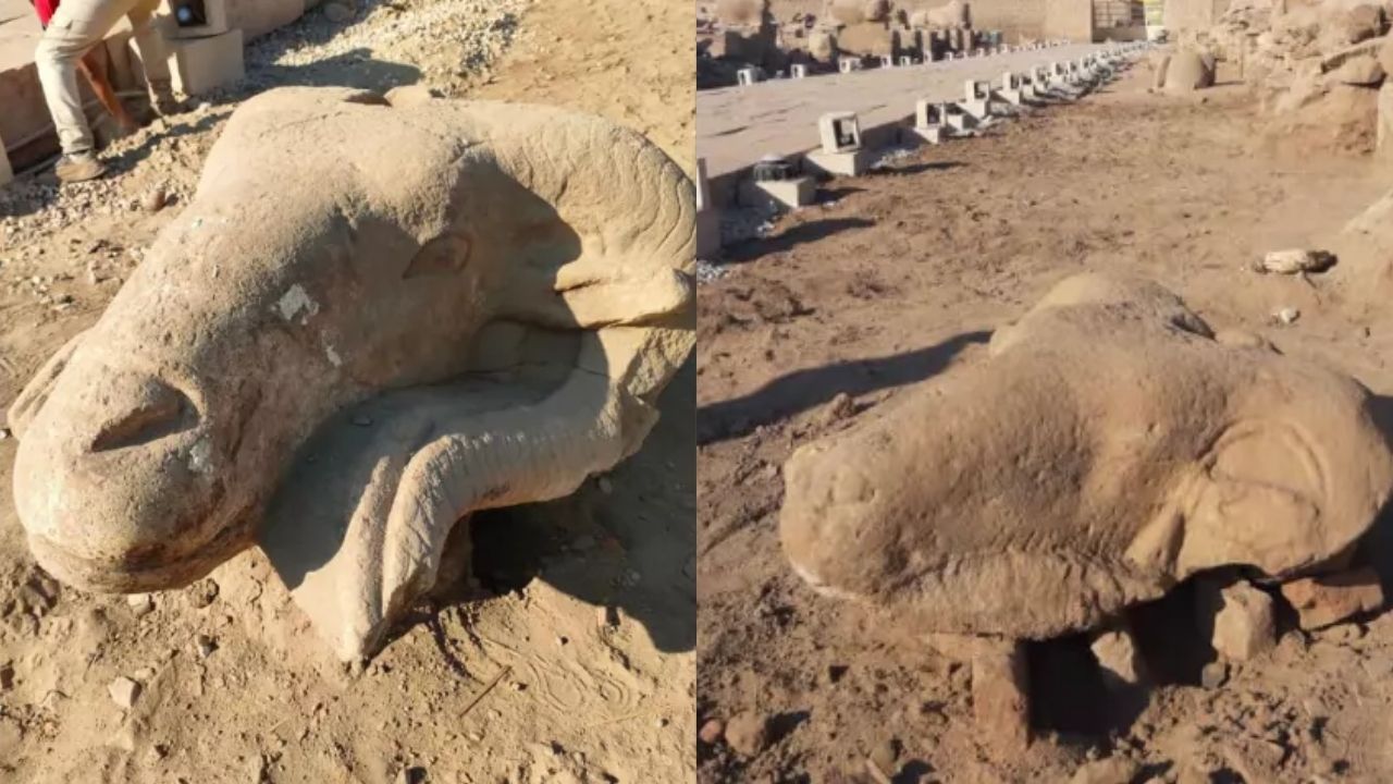 No Egito, arqueólogos encontram esculturas com cabeças de carneiro na ‘Avenida das Esfinges’
