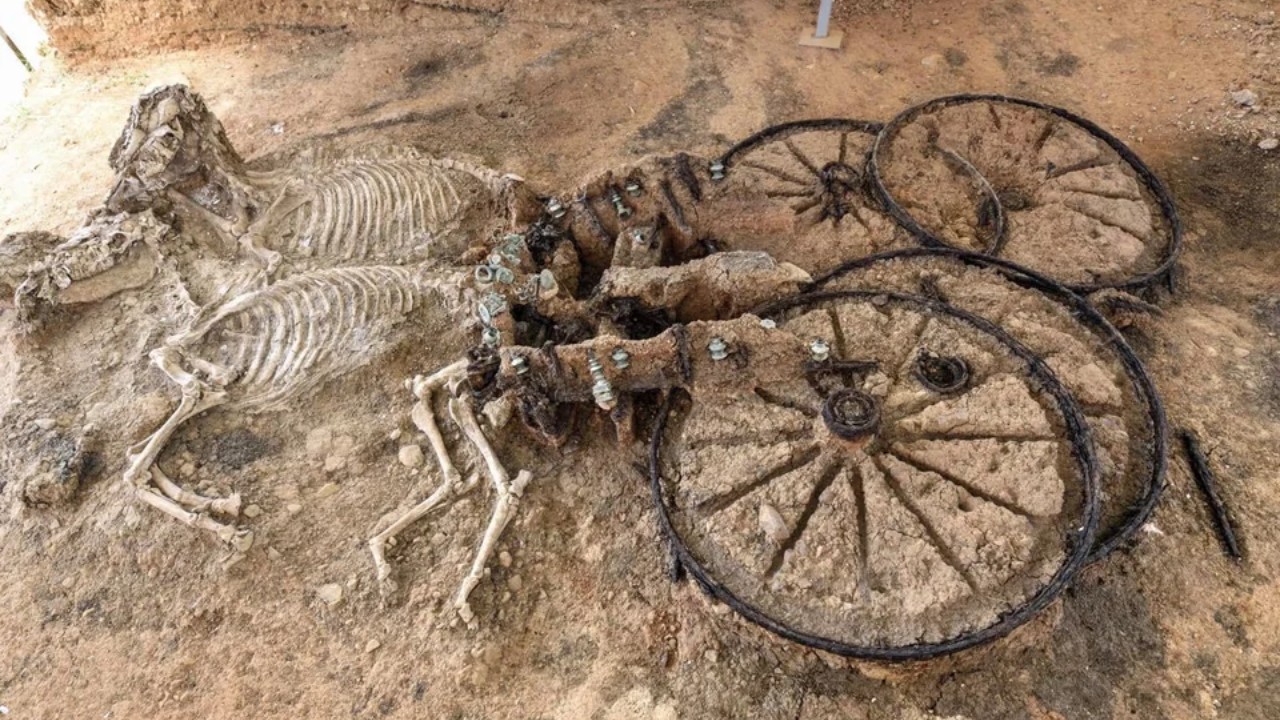 A história por trás da carruagem de 2.000 anos enterrada com restos de dois cavalos