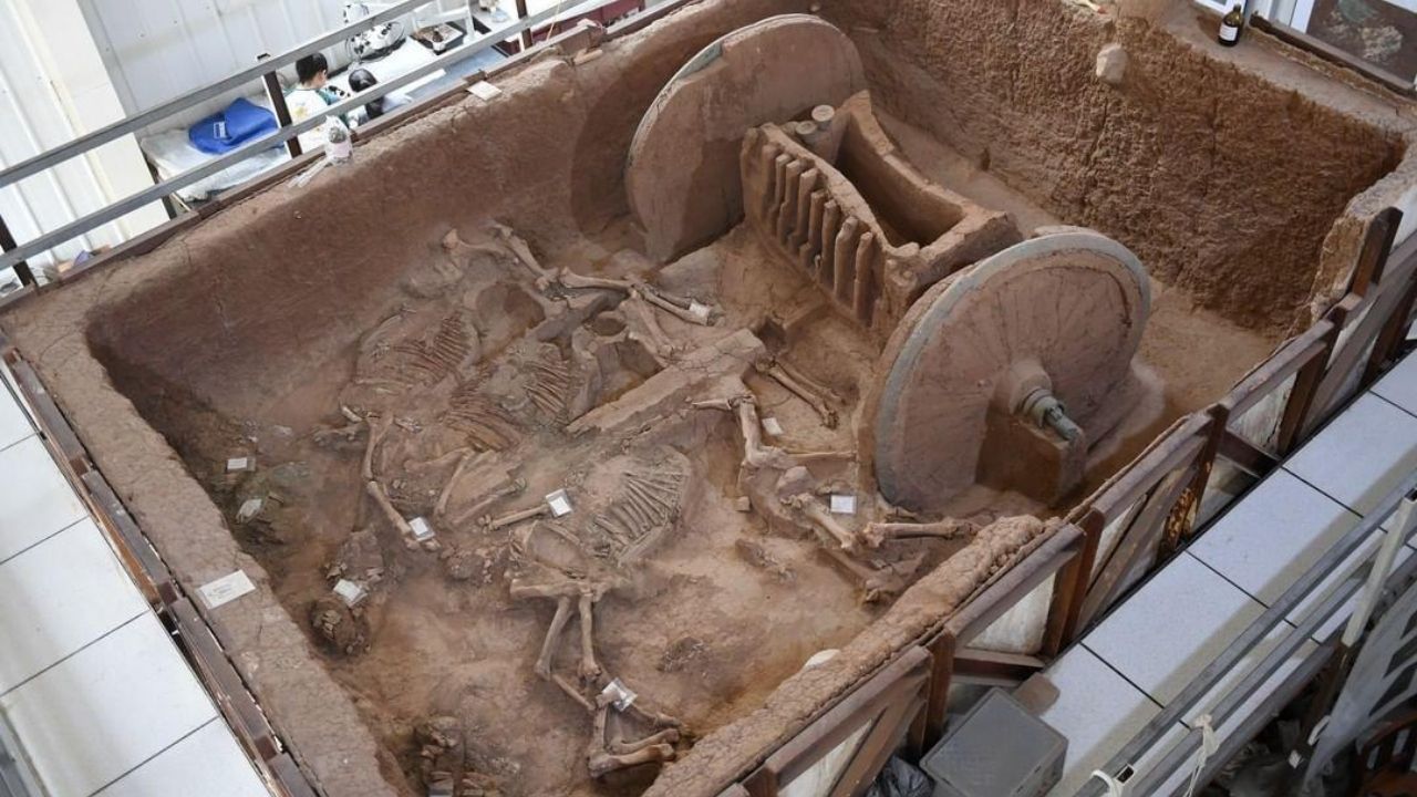 Pesquisadores restauram impressionante carruagem de guerra com 3 mil anos na China