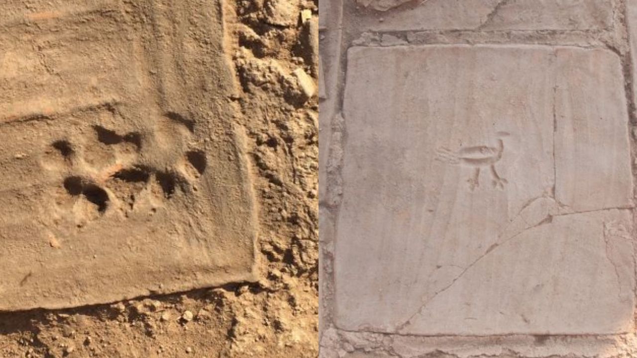 Casa de 1.500 anos, com impressões de patas de cachorros e espadas romanas, é descoberta na Turquia