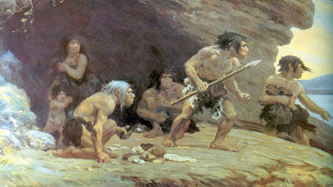Humanos usam peles de urso há pelo menos 300 mil anos, aponta estudo