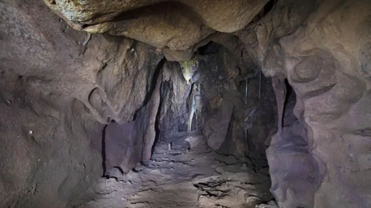 Câmara isolada há 40 mil anos em caverna de Gibraltar pode revelar segredos dos Neandertais