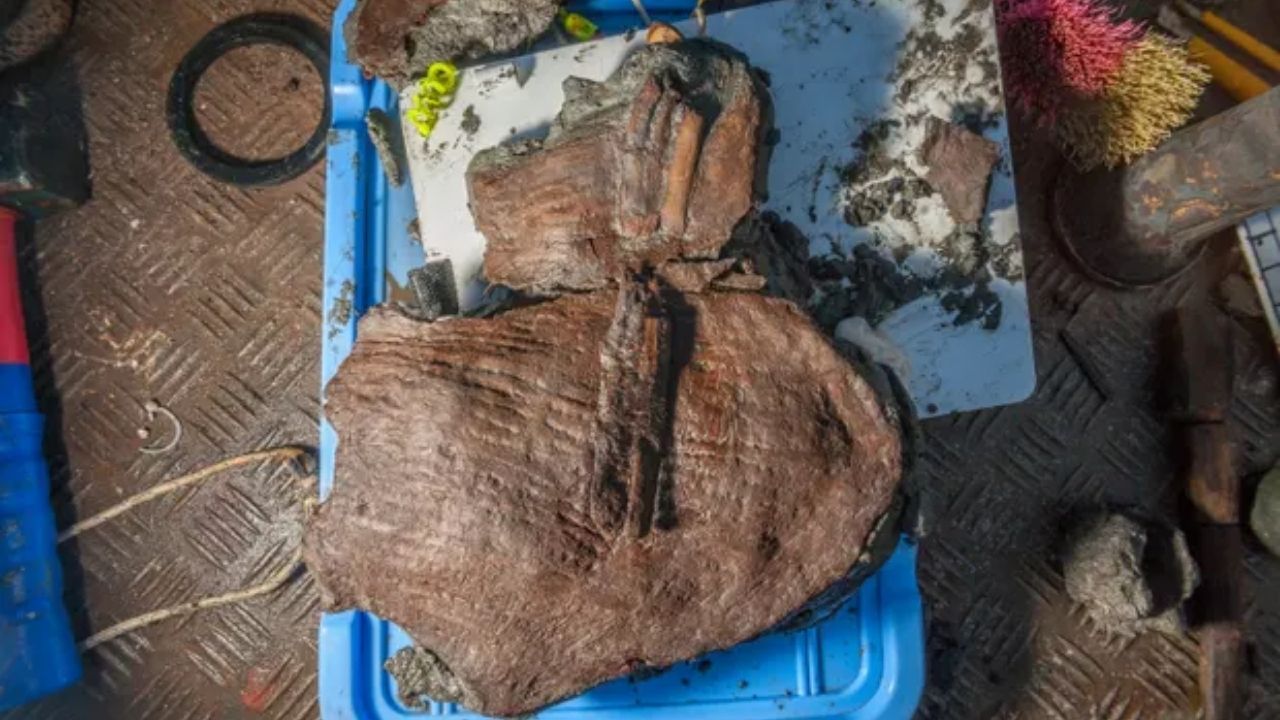 Cestas de frutas de 2 mil anos são descobertas em cidade submersa no Egito