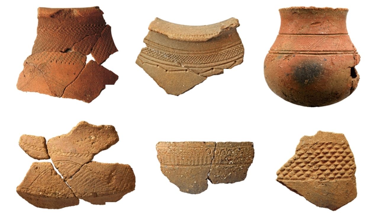 Mais lidas: Curiosa dieta de povo africano pré-histórico é revelada por estudo