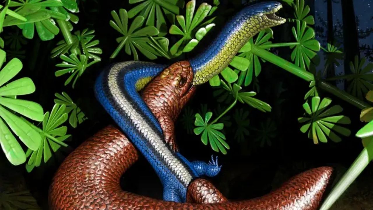 Fóssil de 100 milhões de anos sem braços dá pistas sobre evolução das cobras