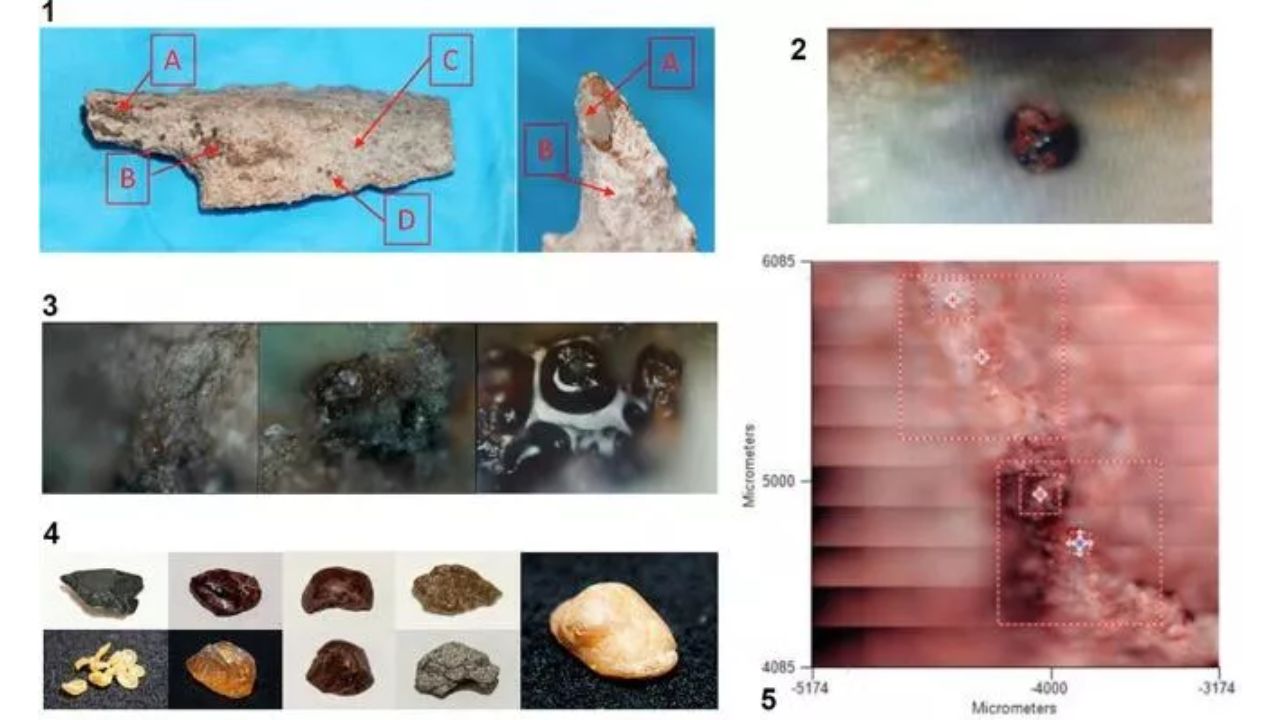 Pesquisadores descobrem cola de 20 mil anos usada na fabricação de armas
