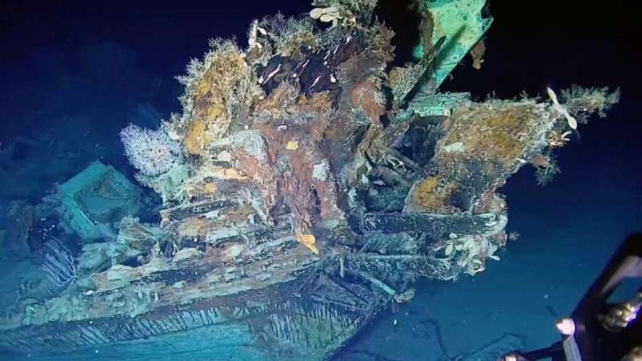Em imagens: O navio naufragado no século 18 com verdadeiro ‘tesouro’