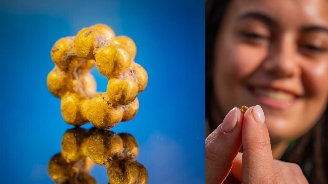 Delicada conta de ouro de 1.600 anos é descoberta por jovem de 18 anos
