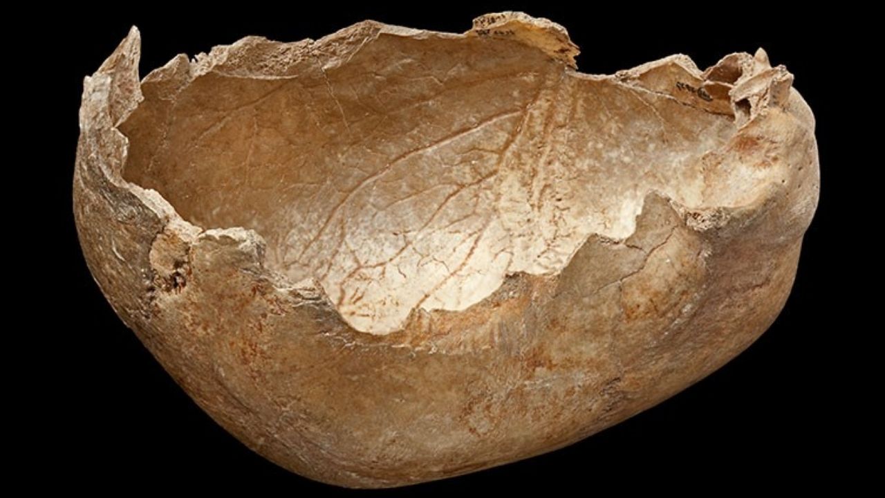 Canibalismo como ritual: Crânios eram realmente usados como canecas?