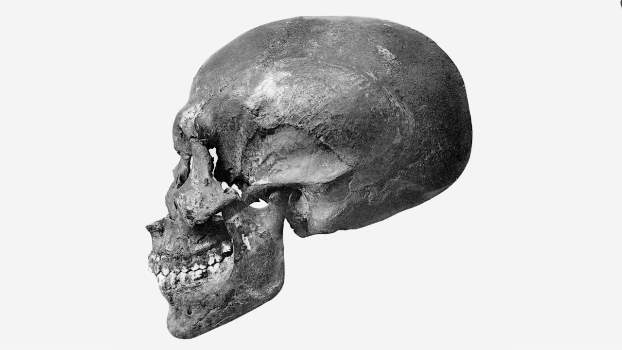 Confira o rosto de uma das múmias mais enigmáticas do Egito Antigo