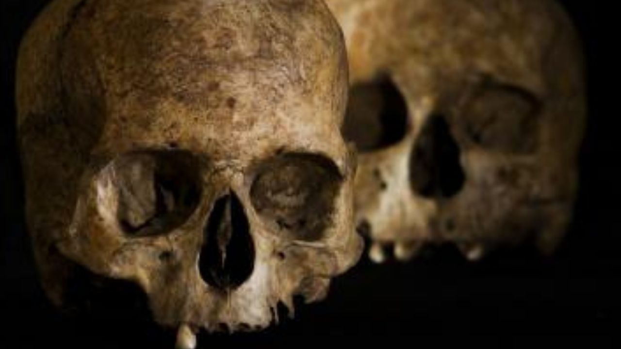 Crânios humanos e restos de cabra revelaram comportamentos de povos do Neolítico