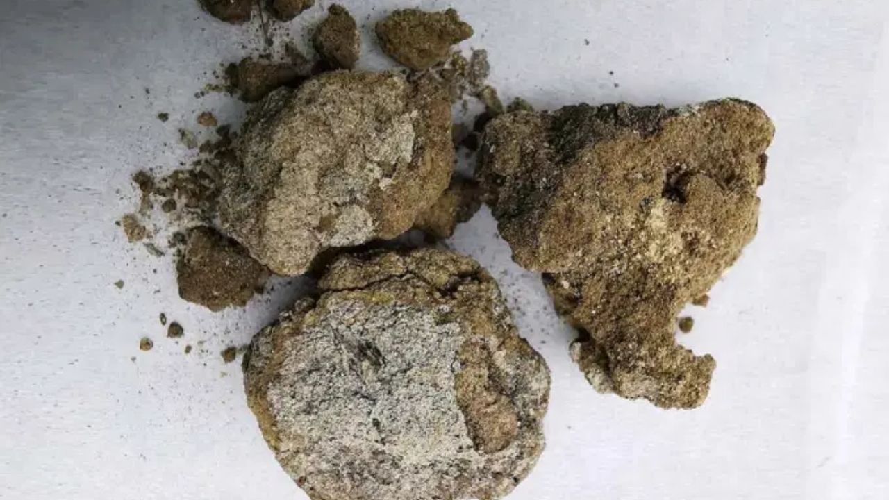 ‘Skincare’ dos antigos: O creme facial de 2.700 anos que pertenceu a um nobre chinês