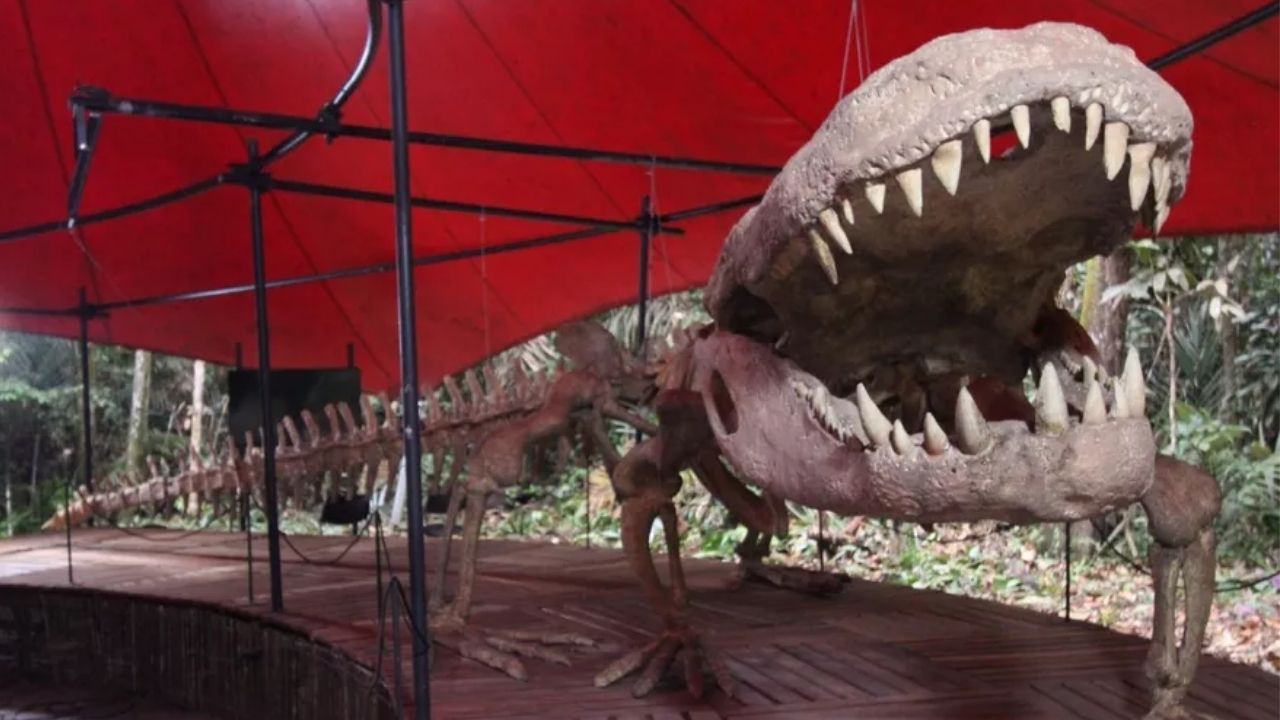 Onde viveu o maior crocodilo do mundo?