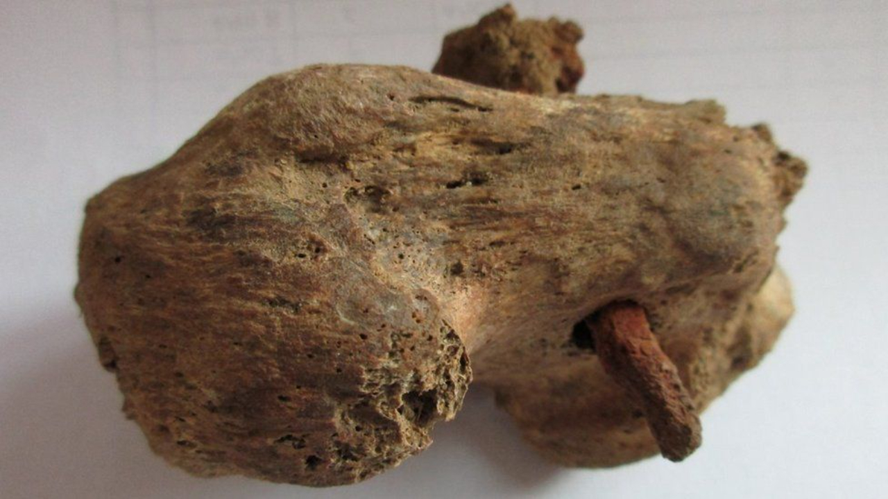 Relembre a descoberta da evidência de crucificação do período romano