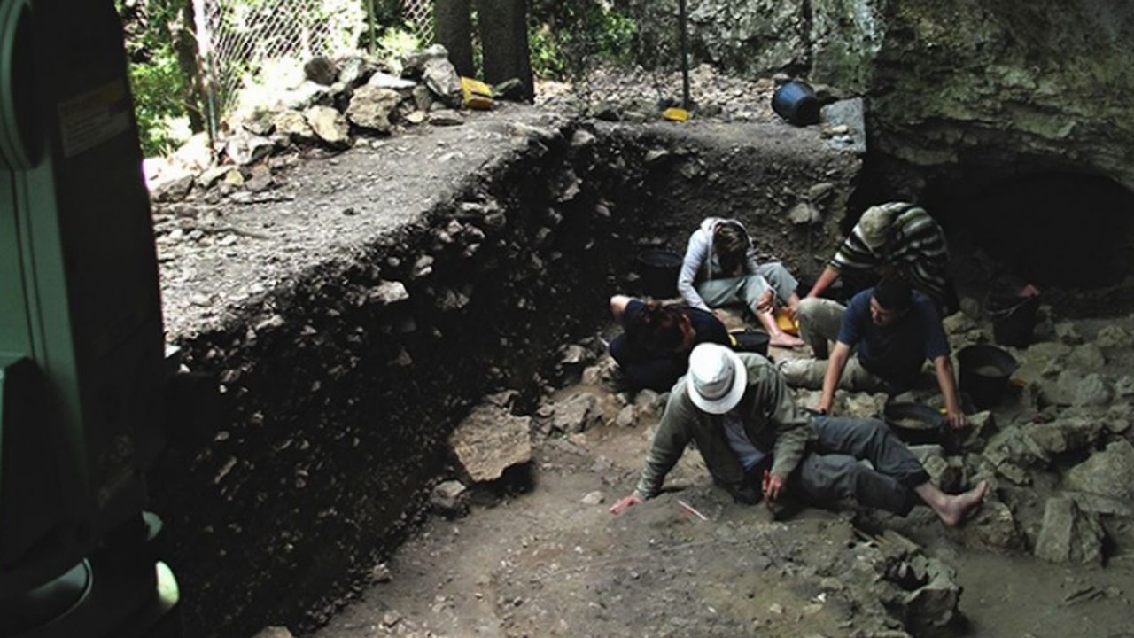 Dente de 54 mil anos que desafia teorias sobre Neandertais é investigado