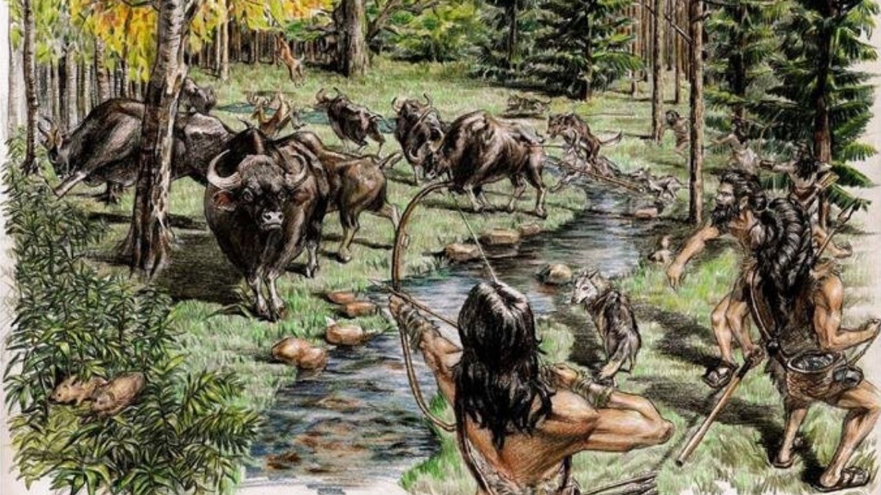 Cientistas tibetanos analisam DNA de bovinos selvagens de 5.200 anos