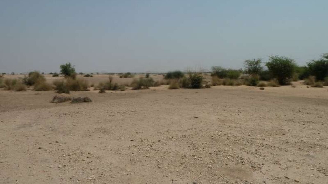 Deserto indiano do Thar possuía um rio durante Idade da Pedra, diz estudo