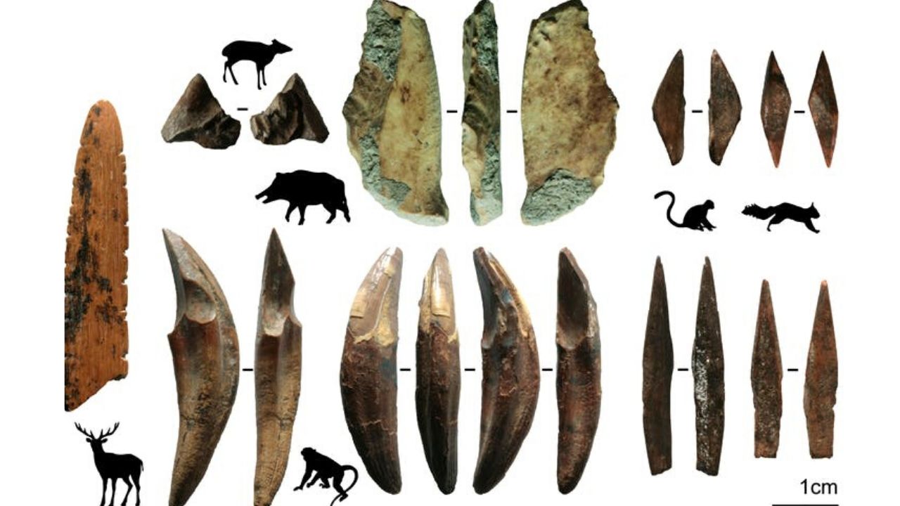 Arqueólogos descobrem pedaços de flecha de 48 mil anos no Sri Lanka