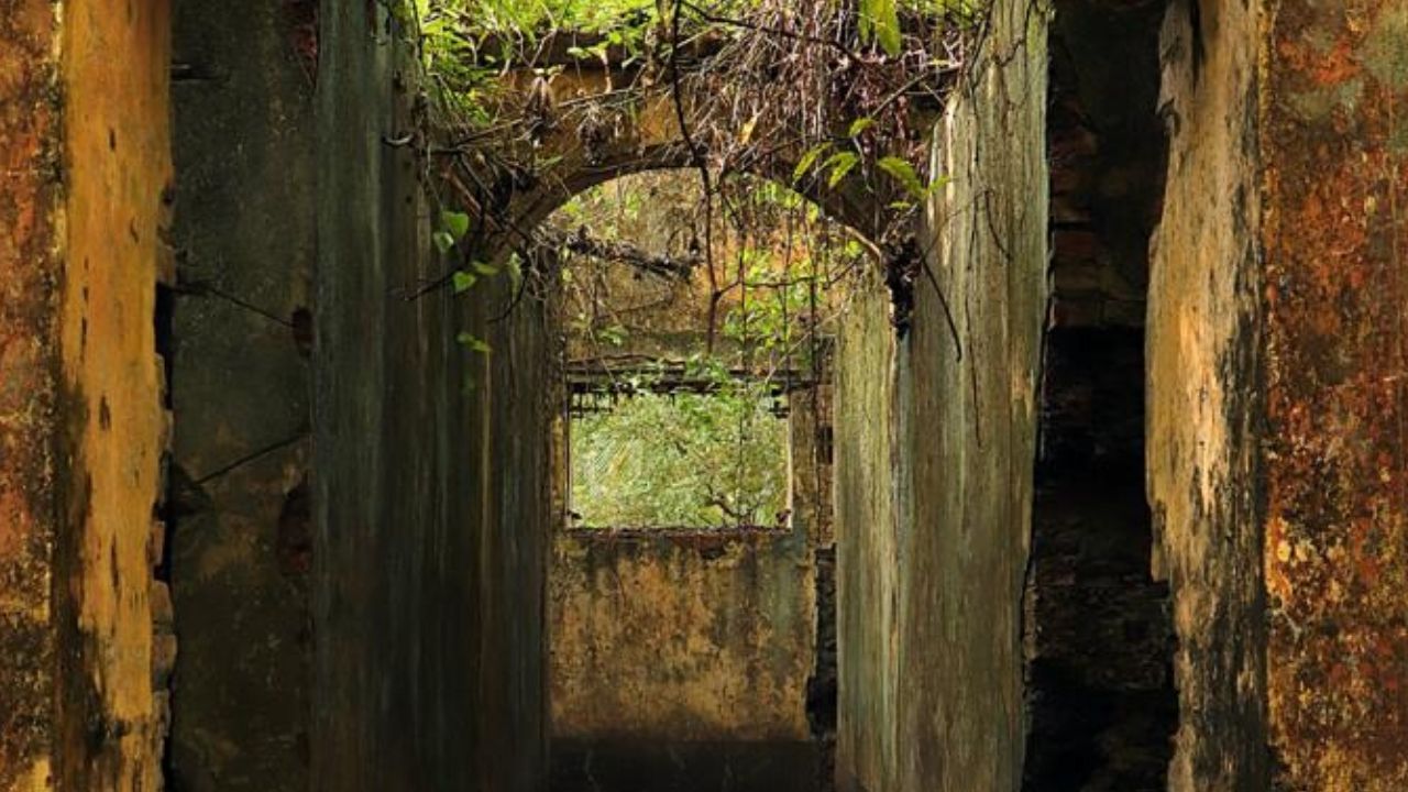 Arqueólogos desvendam estruturas de antigo campo de prisioneiros na Guiana
