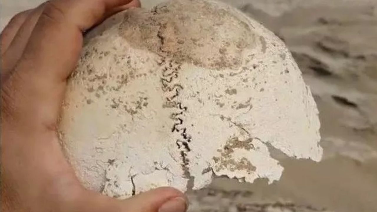 No Irã, influenciador entra em sítio arqueológico e tira fotos com artefatos inexplorados