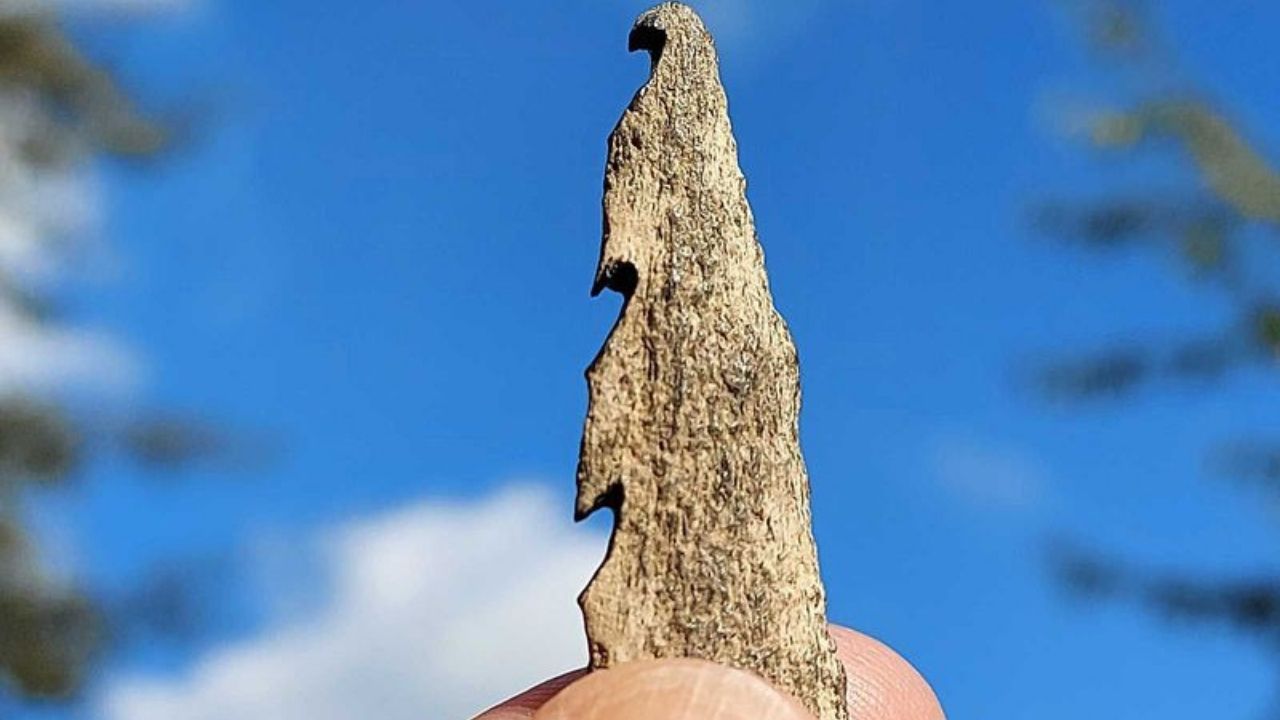 Armas pré-históricas feitas de ossos humanos são descobertas na Holanda