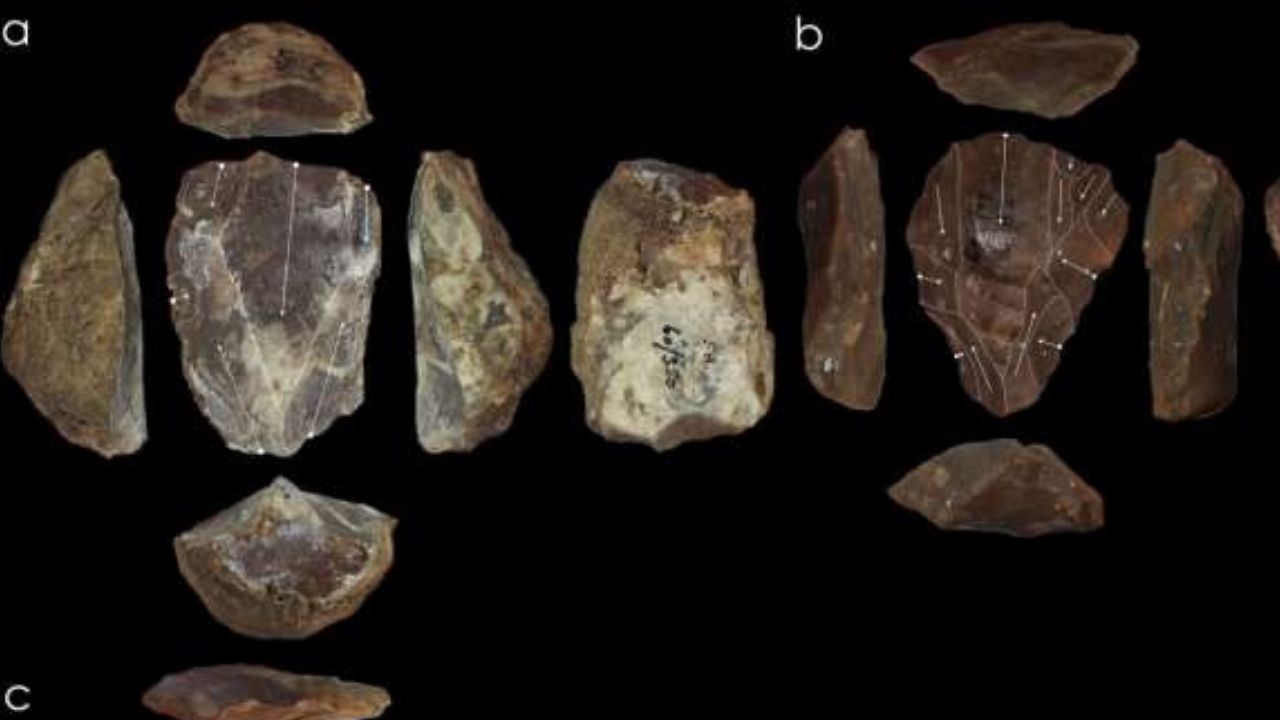 Técnica da Idade da Pedra antes associada a Homo Sapiens era usada também por Neandertais
