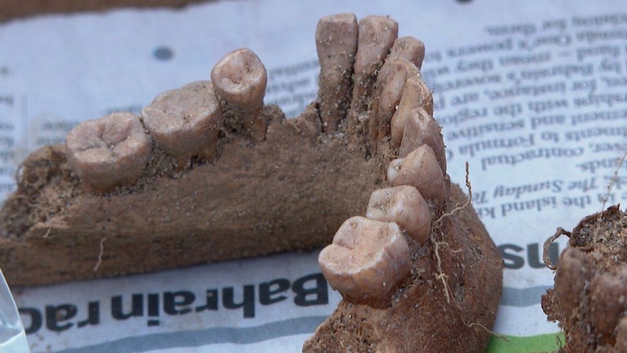 Ossos humanos do Neolítico são encontrados por acaso em ilha do Canal da Mancha