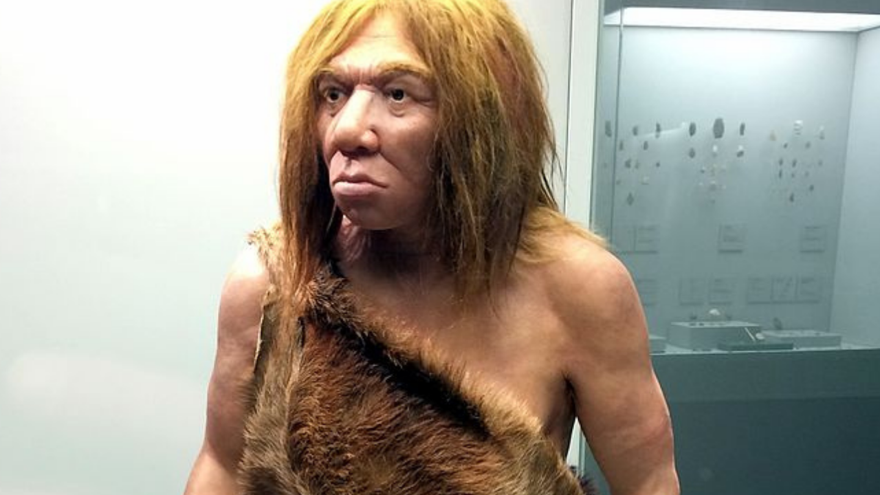 Estudo sugere que neandertais tinham diferentes tipos sanguíneos