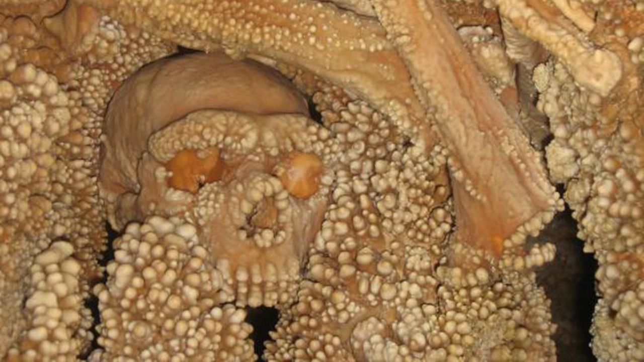 O homem de Altamura, neandertal que viveu há mais de cem mil anos na atual região da Itália