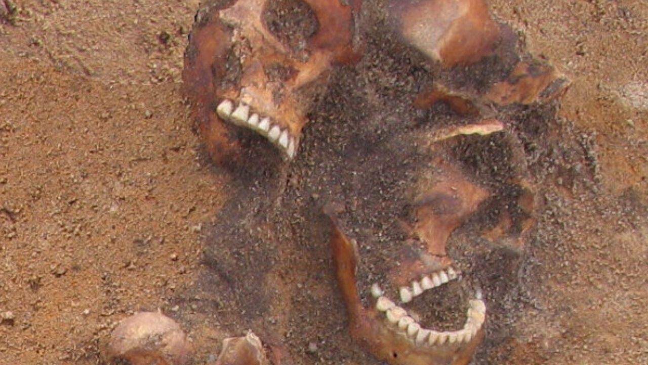 Esqueletos da Era Medieval revelam evidências sobre o início da sífilis na Europa