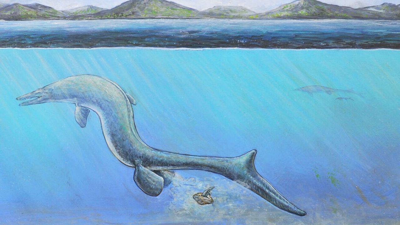 Ovo gigante de réptil marinho extinto foi encontrado na Antártida