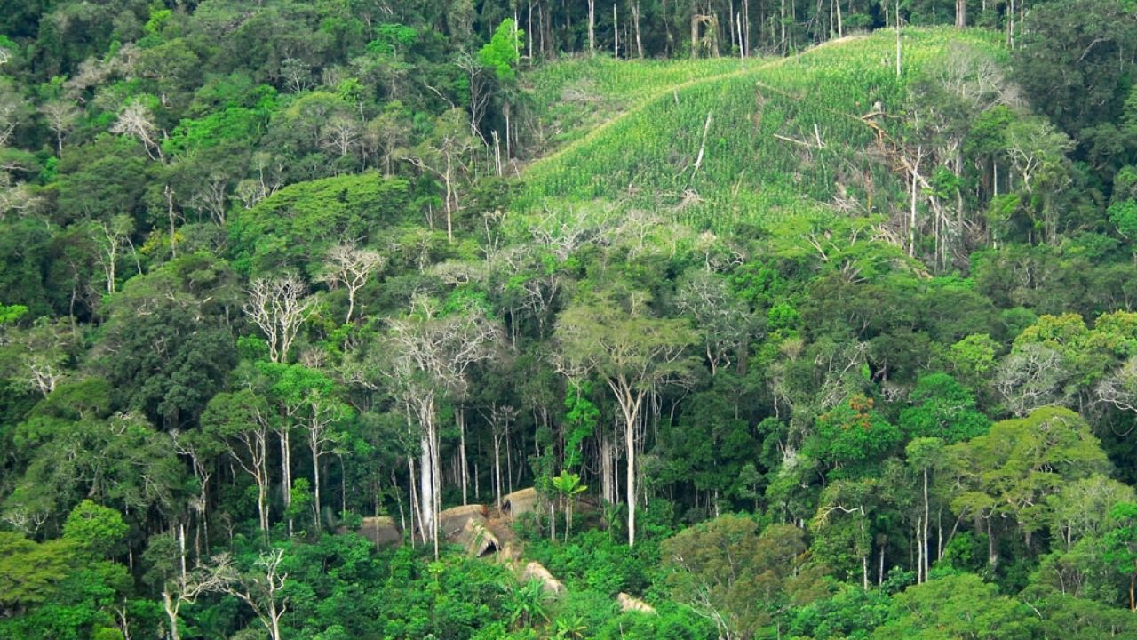 No Acre, tecnologia revela aldeias indígenas antigas, diz estudo