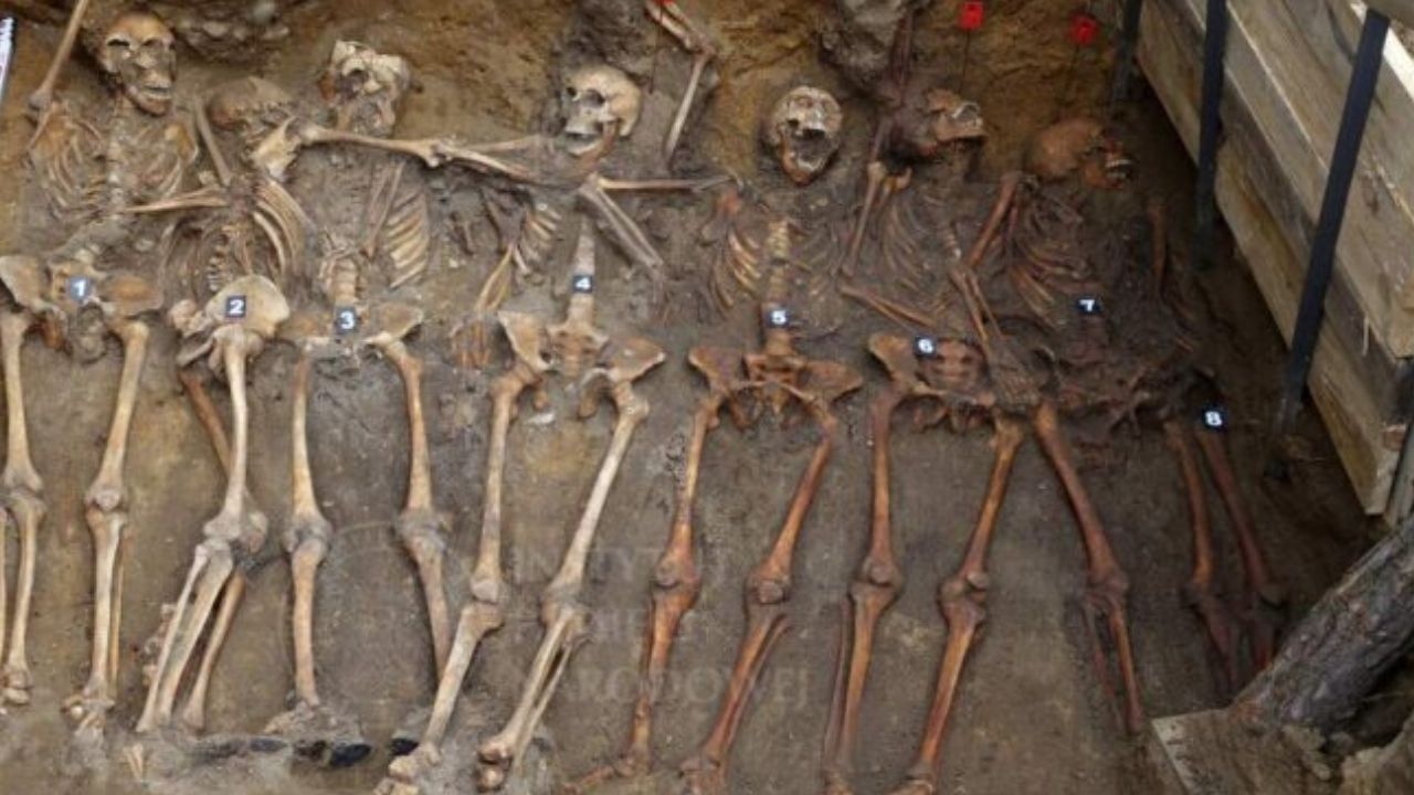 Pesquisadores encontram ossos de combatentes anticomunistas da Segunda Guerra